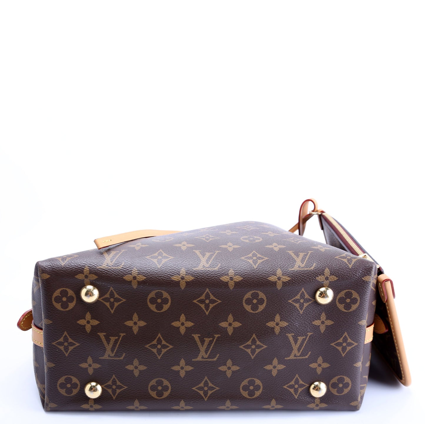Carryall PM Monogram