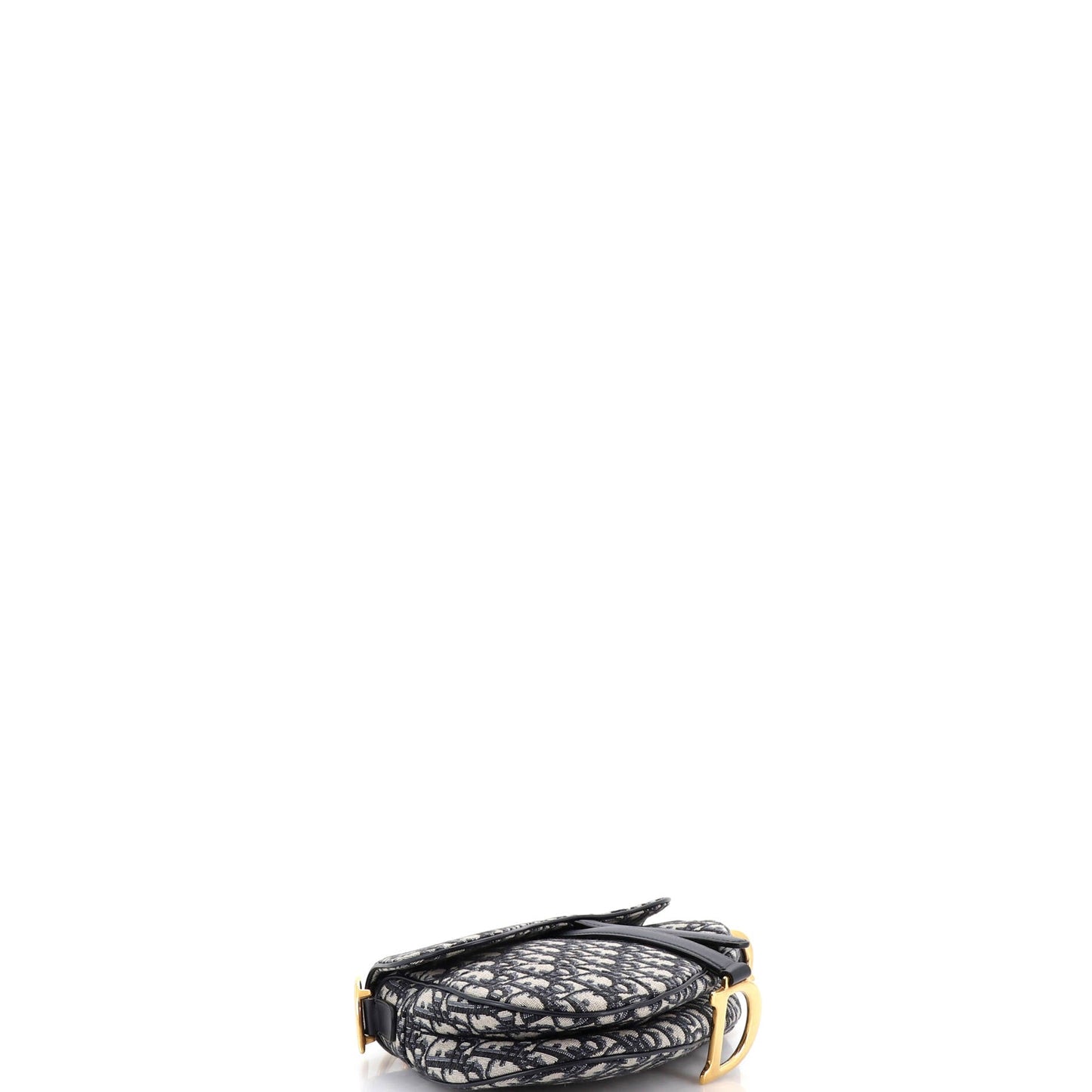 Saddle Handbag Oblique Canvas Medium