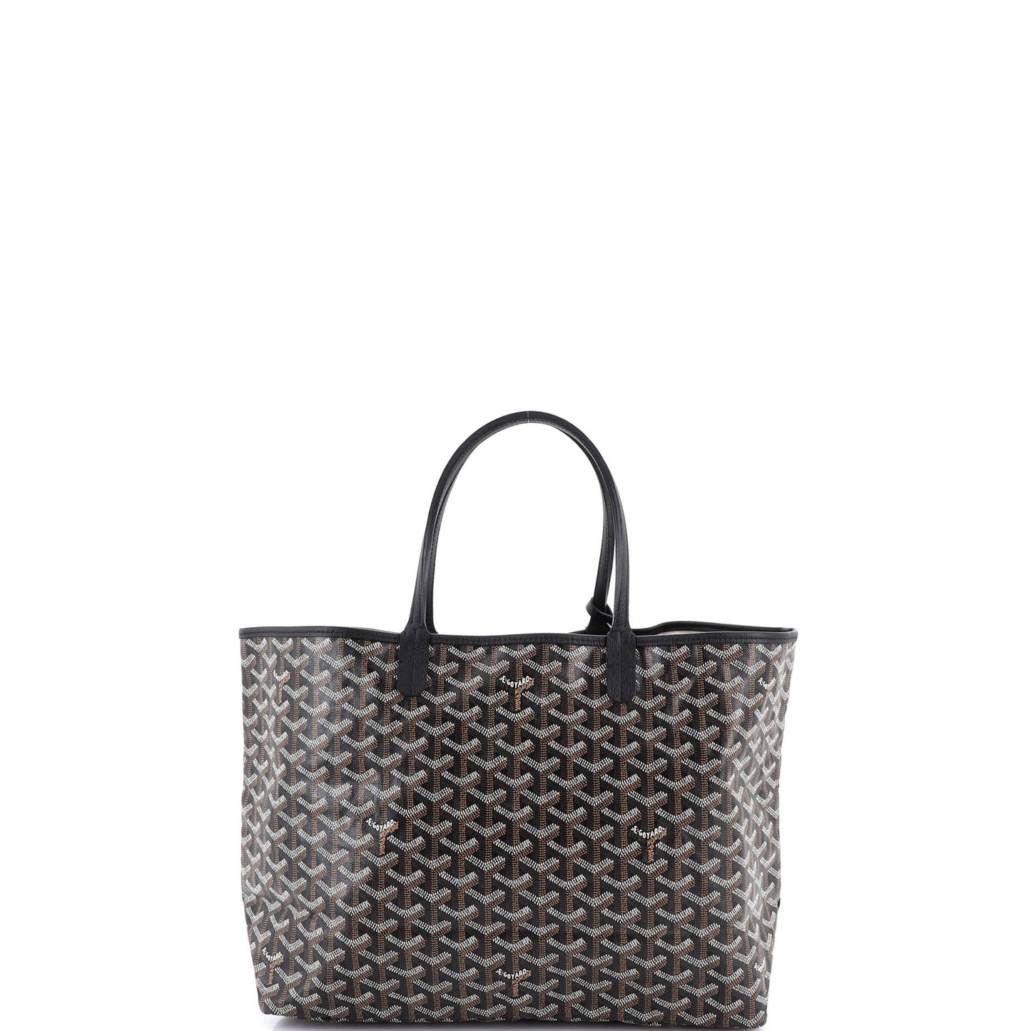 Saint Louis Tote Coated Canvas PM