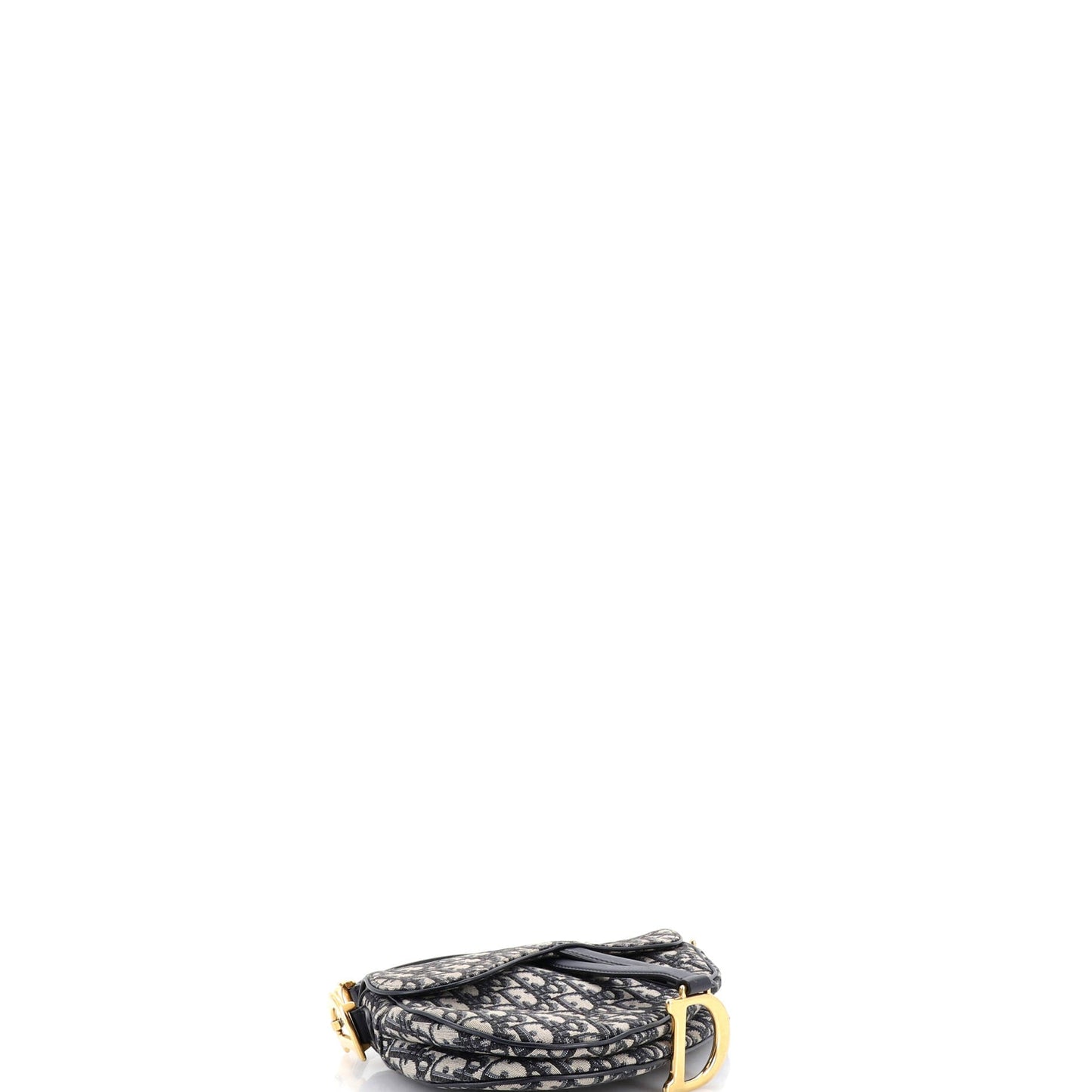 Saddle Handbag Oblique Canvas Medium