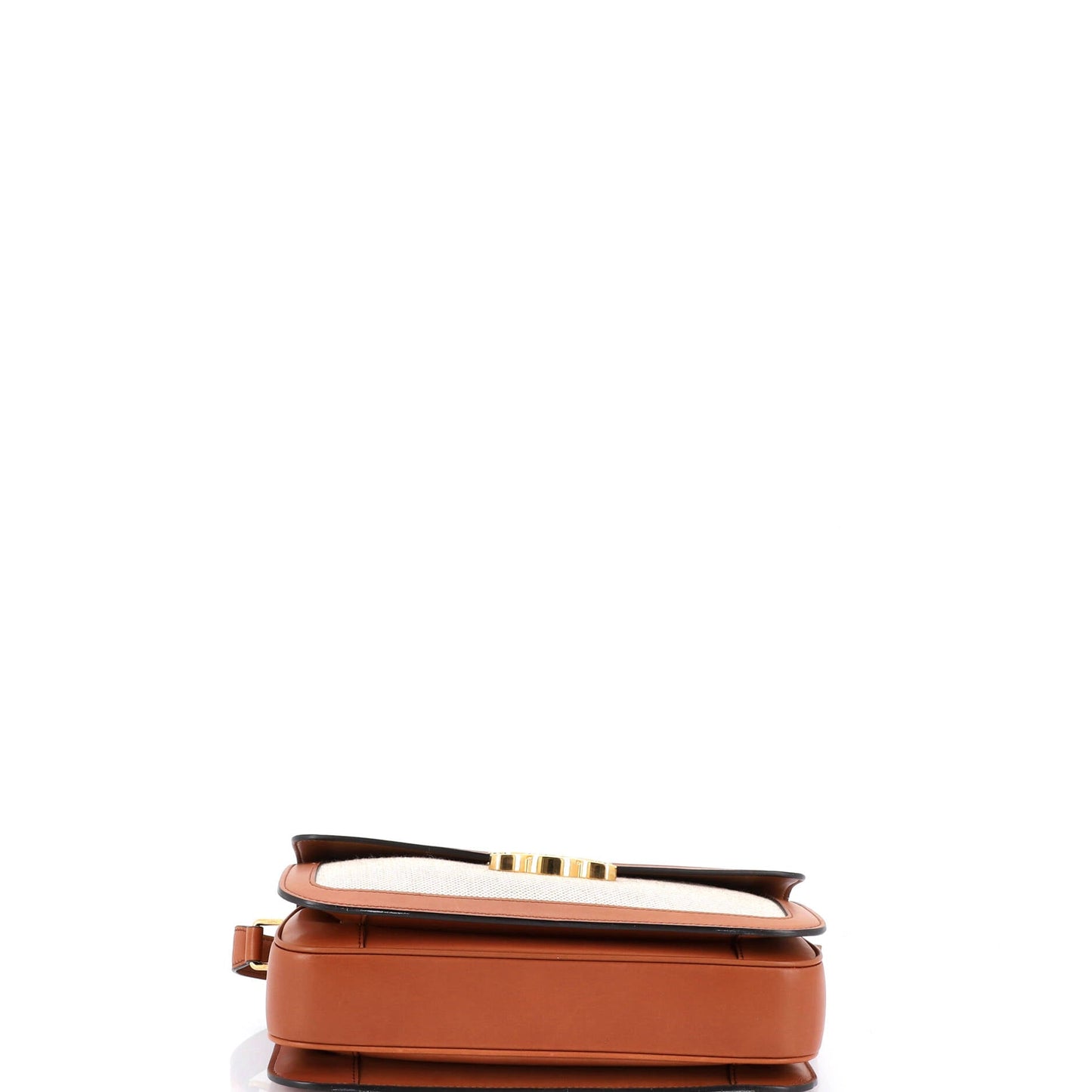 Triomphe Shoulder Bag Canvas with Leather Medium