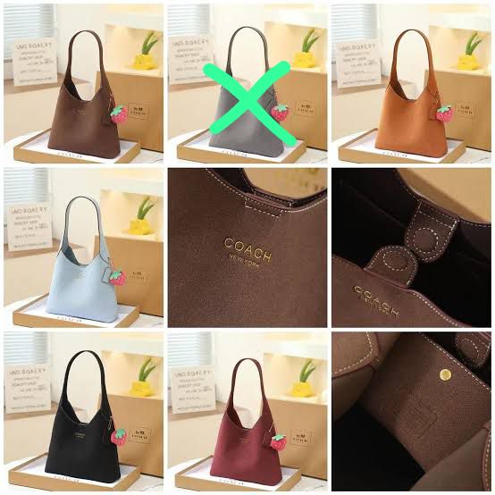 C-O-A-C-H Brooklyn Women Bag β Premium Quality (Brown)