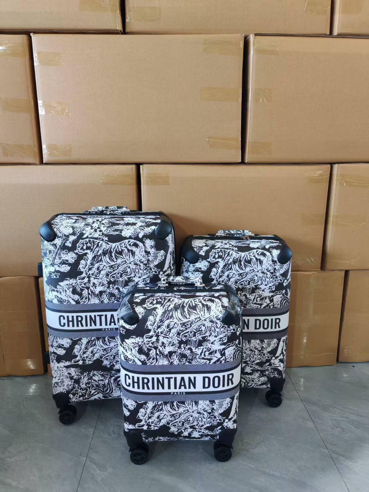 C-H-R-I-S-T-I-A-N D-I-O-R Branded Trolley Bag Sets β Travel Collection (Design-2)