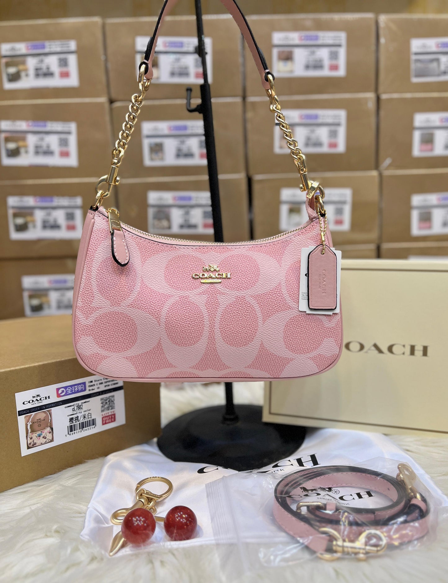 C-O-A-C-H Teri Shoulder Women Bag in Signature Canvas (Pink)