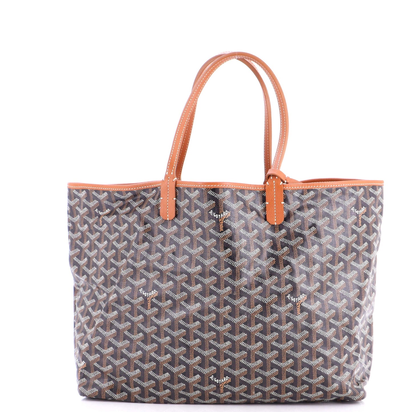 Saint Louis Tote Coated Canvas PM
