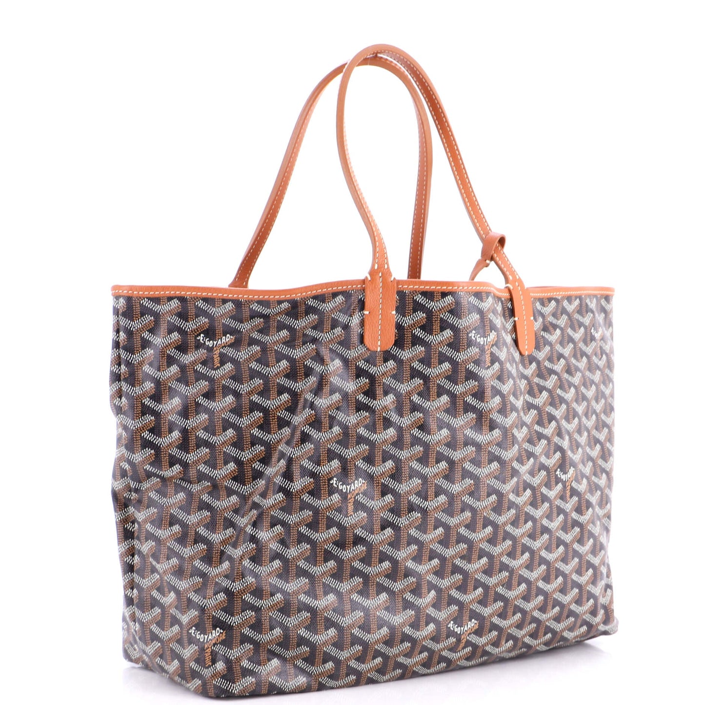 Saint Louis Tote Coated Canvas PM