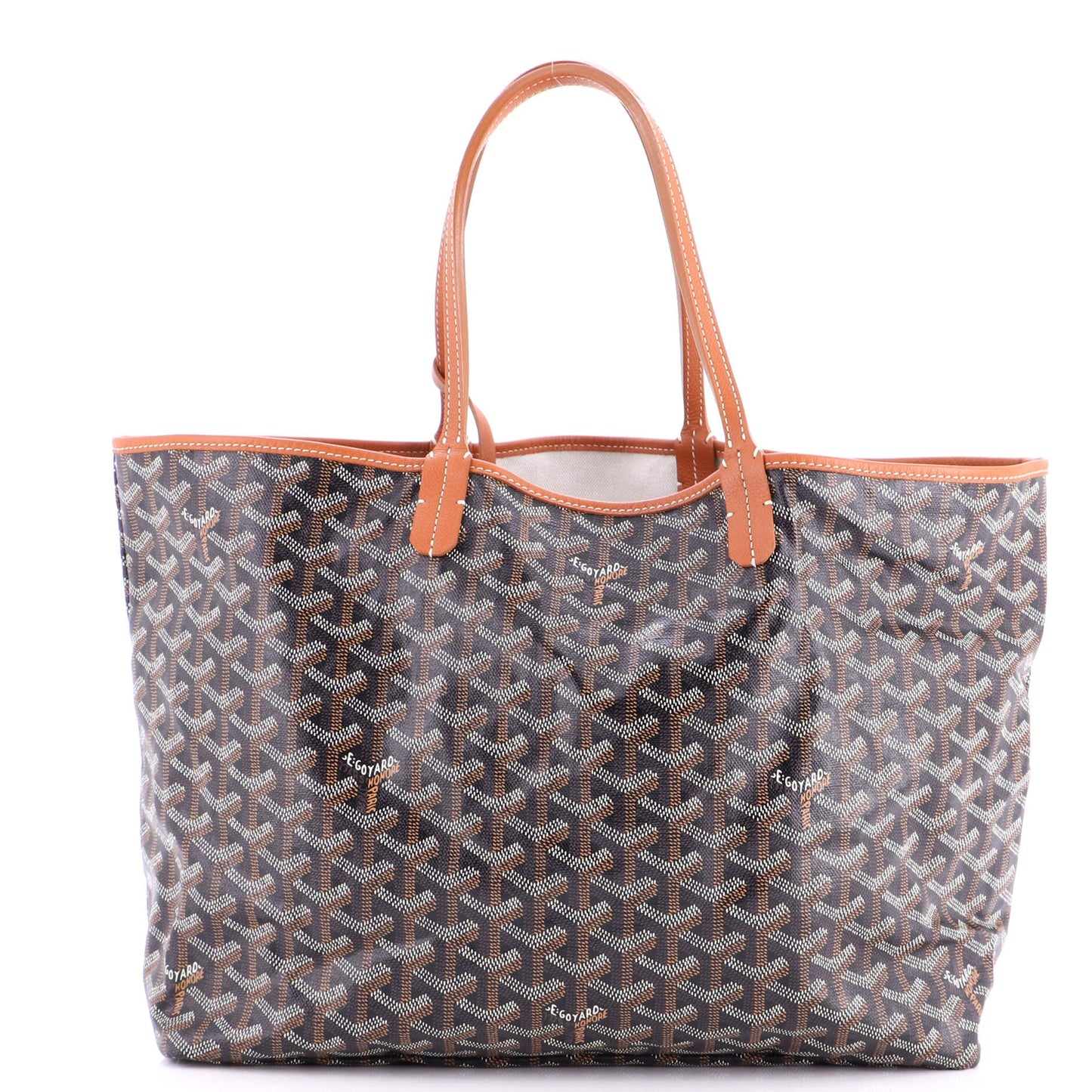Saint Louis Tote Coated Canvas PM