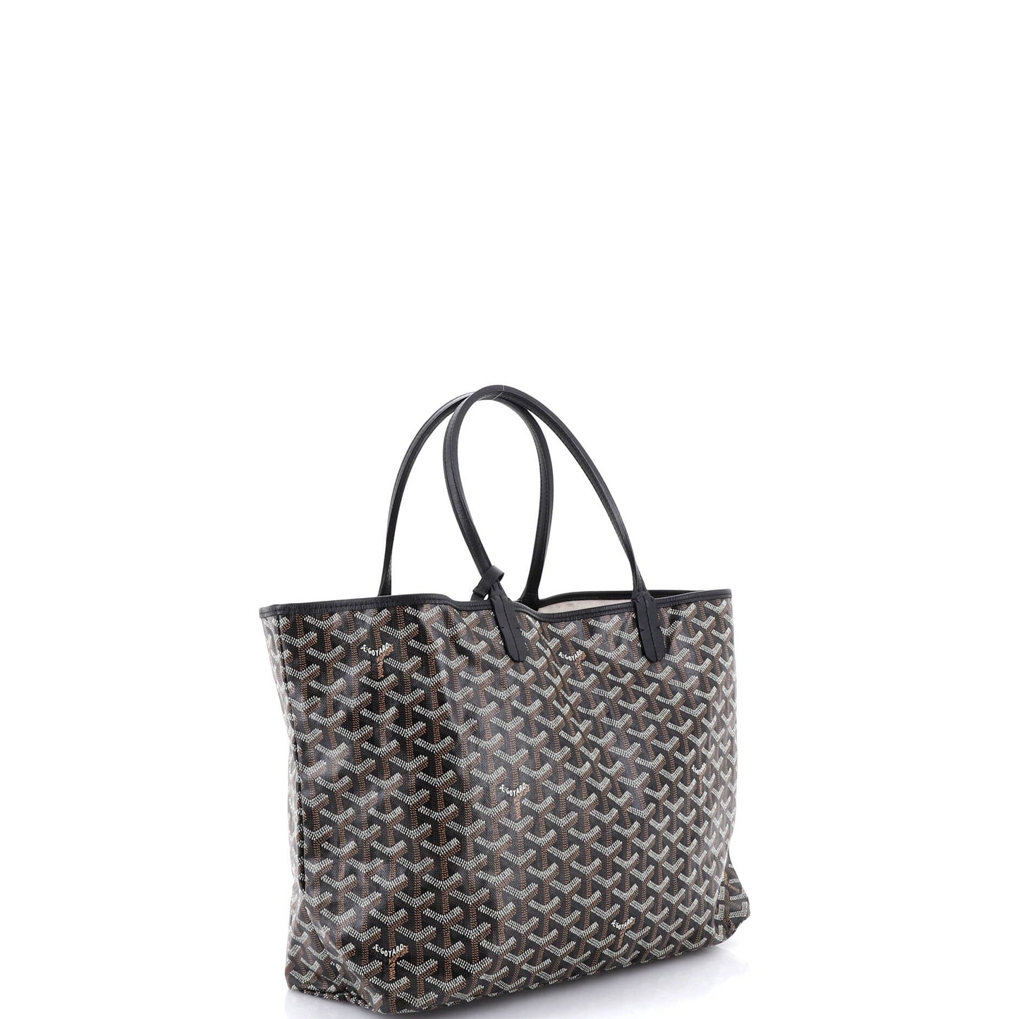 Saint Louis Tote Coated Canvas PM