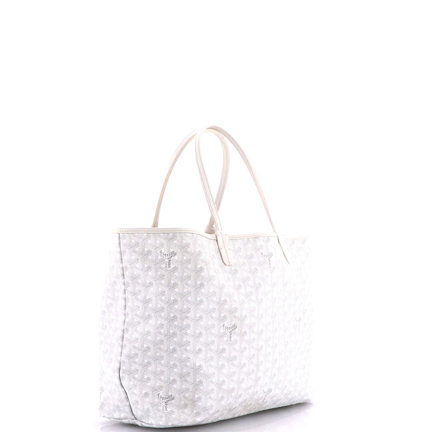 Saint Louis Tote Coated Canvas PM