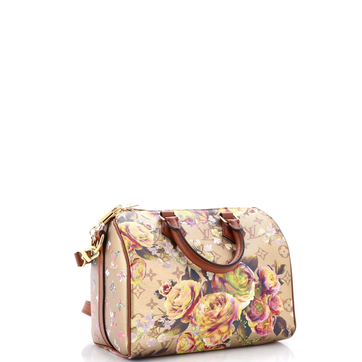 Speedy Bandouliere Bag Limited Edition Garden Monogram Canvas 25