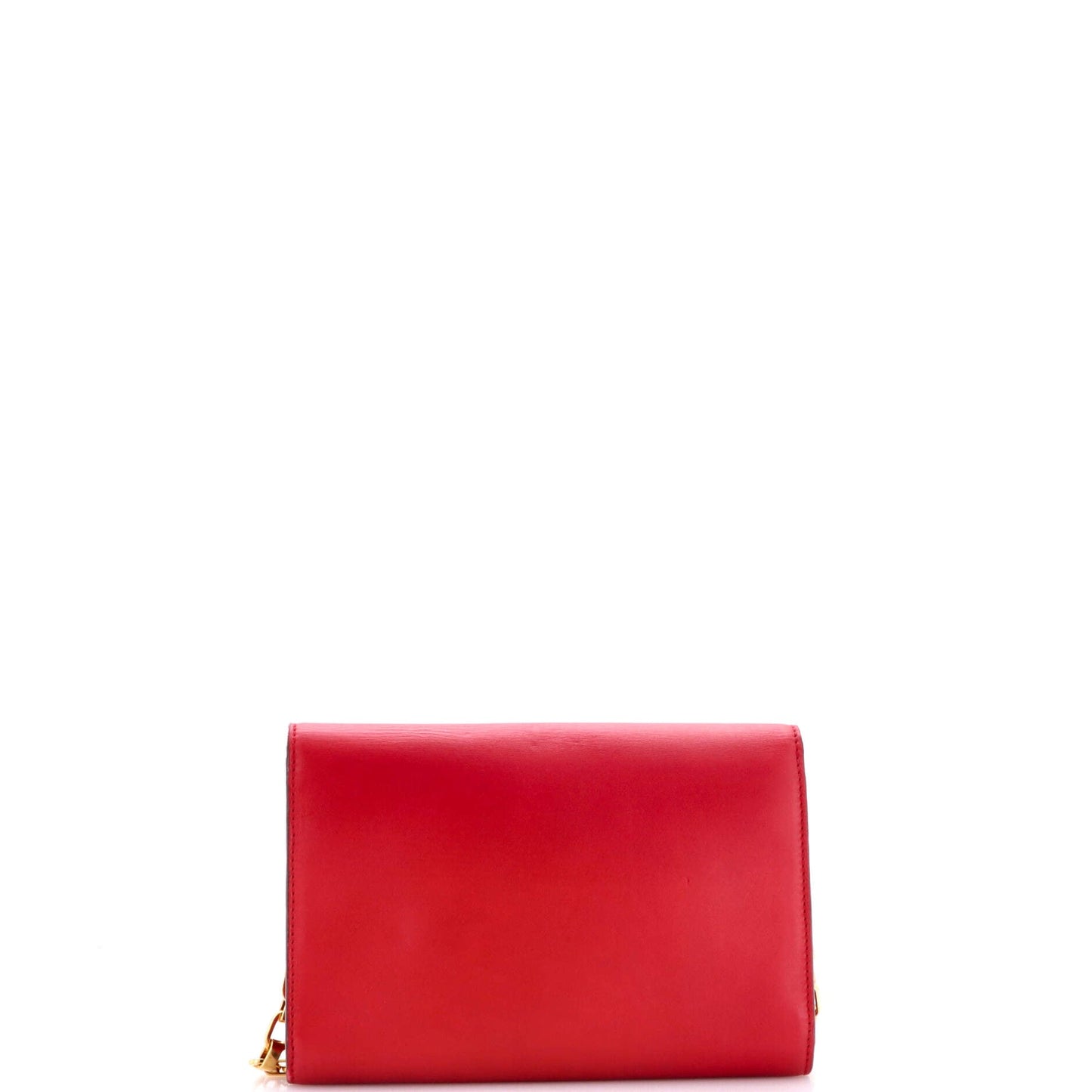 Chain Louise Clutch Leather GM