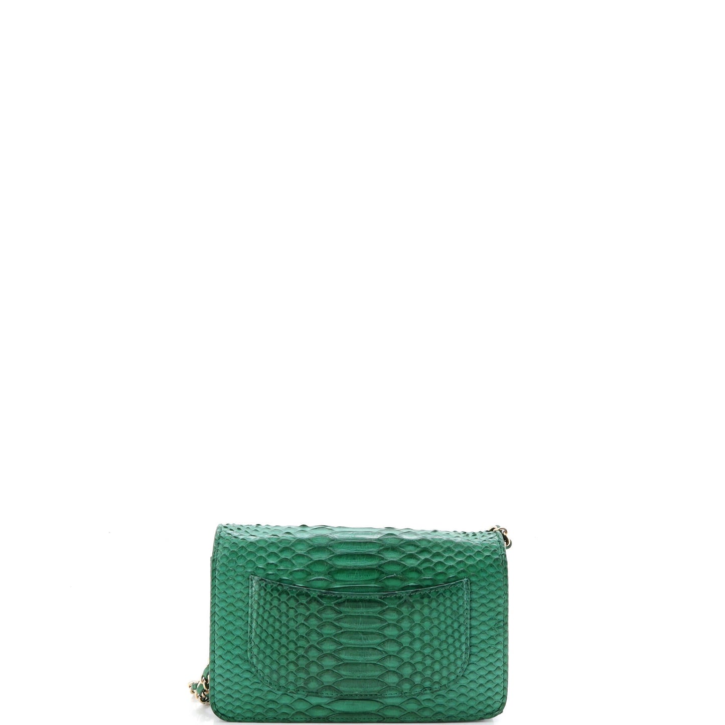 Wallet on Chain Python