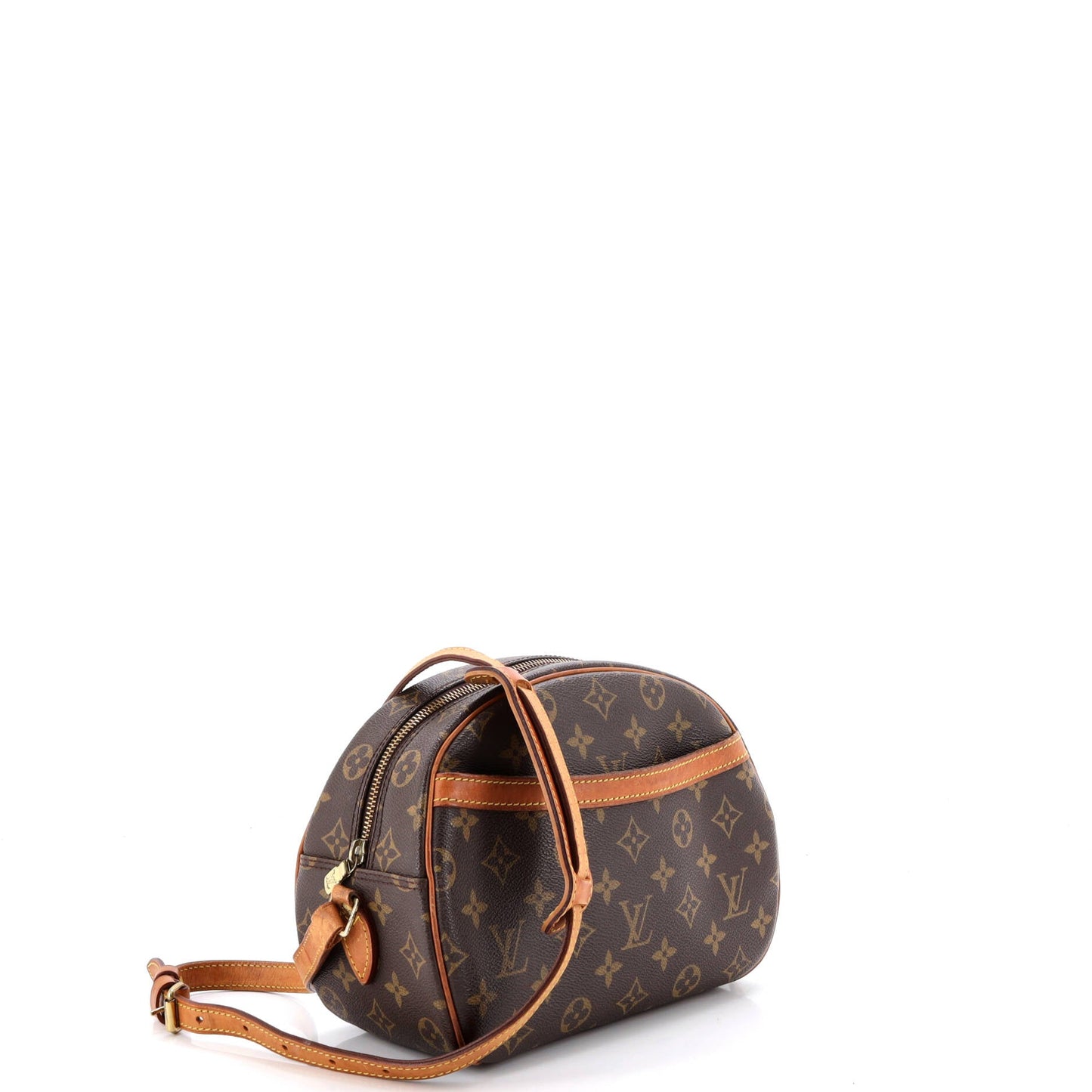 Blois Handbag Monogram Canvas