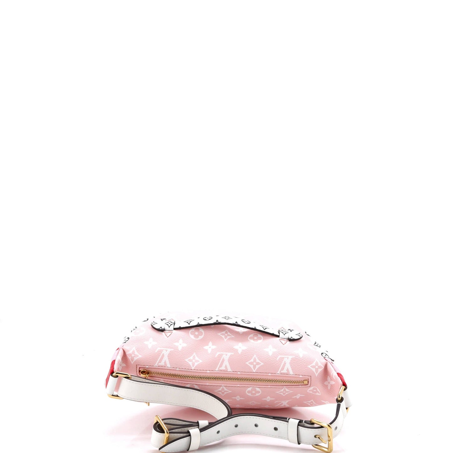 Bum Bag Limited Edition Colored Monogram Giant