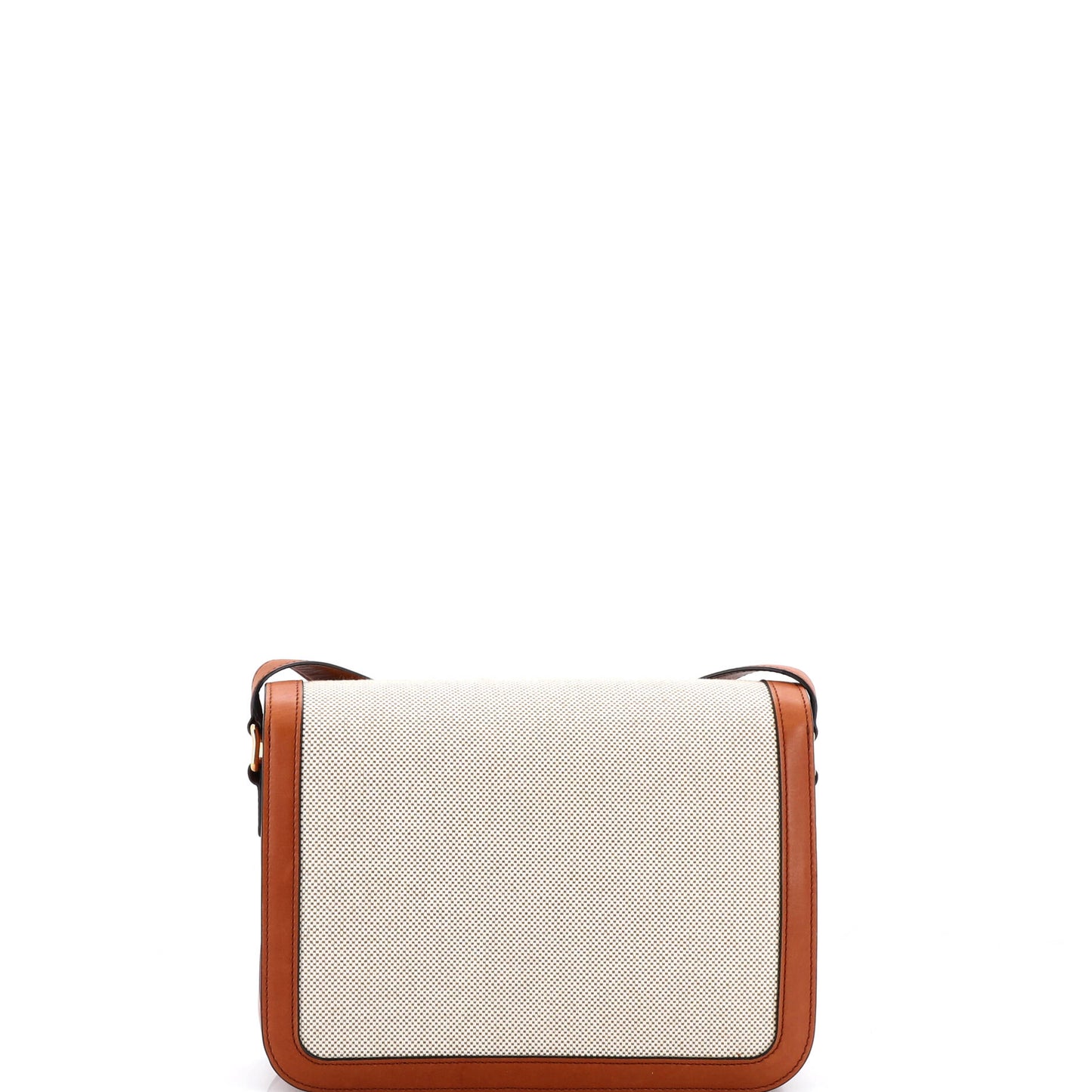 Triomphe Shoulder Bag Canvas with Leather Medium