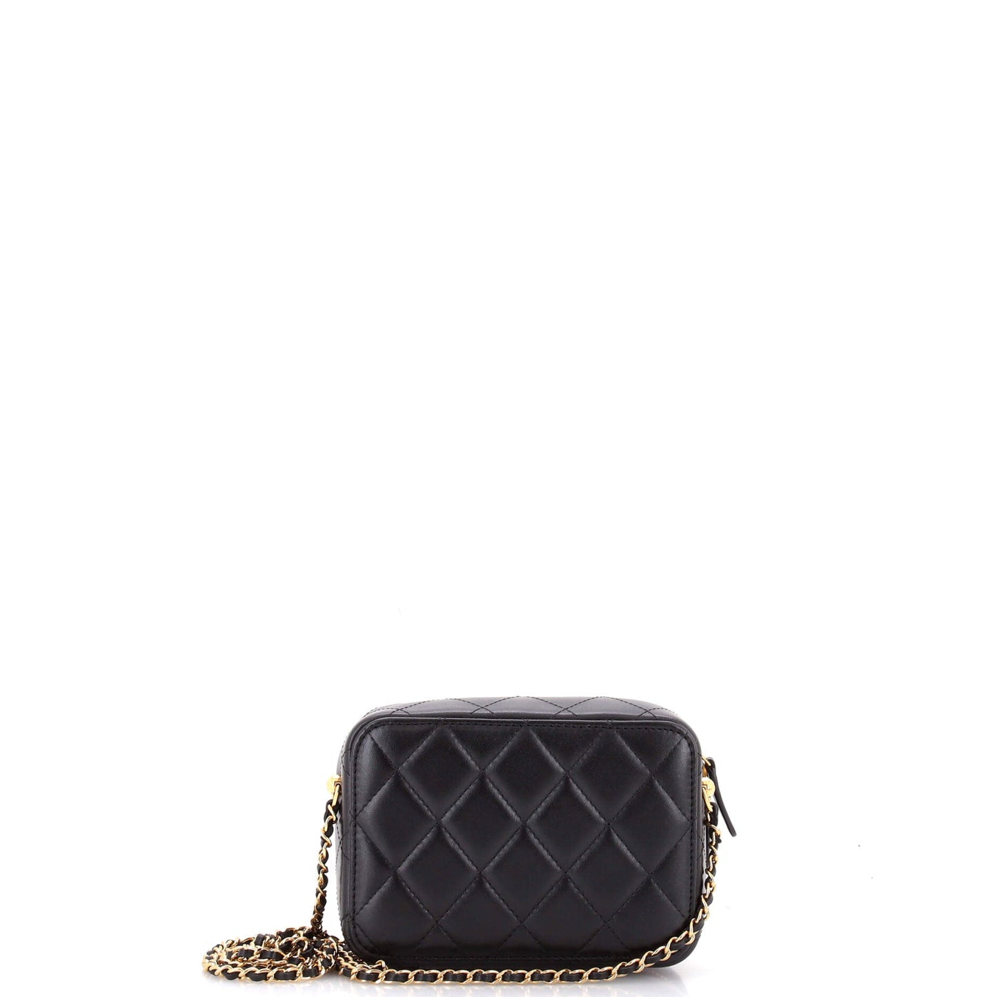 Golden Plate Zip Around Vanity Case with Chain Quilted Metal and Lambskin Mini