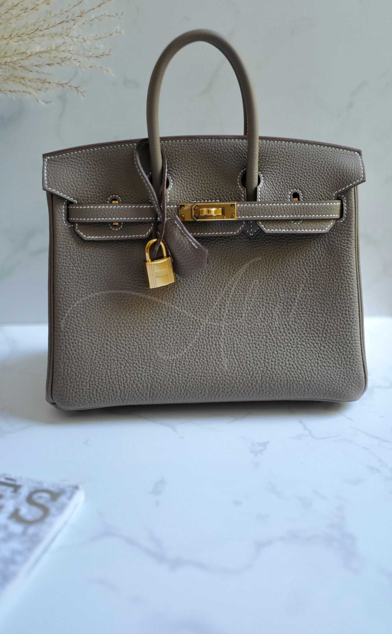 BNIB Hermes Birkin 25 Etoupe Togo Gold Hardware B 2023 With Receipt