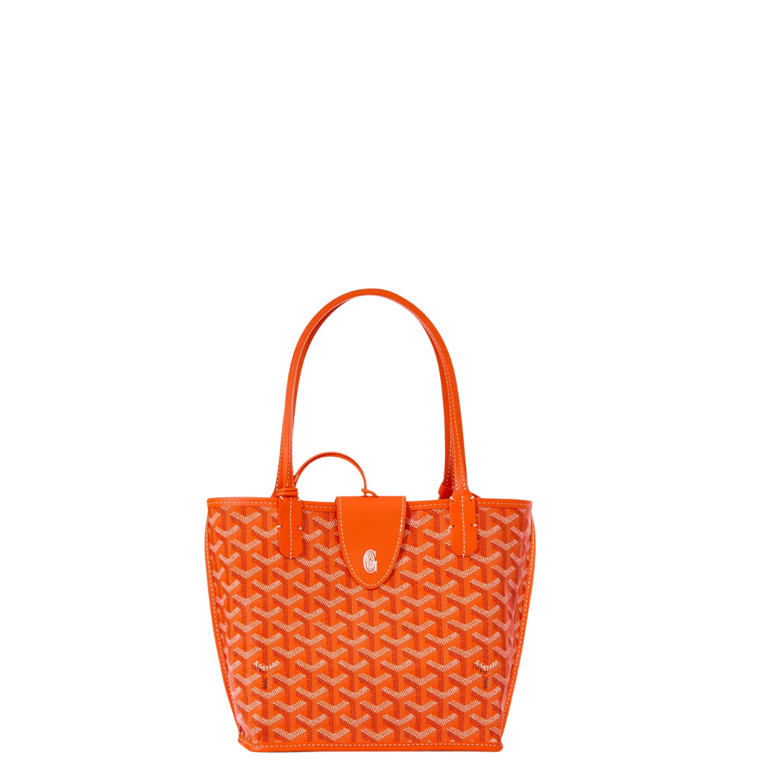 Goyard Anjou Mini Bag