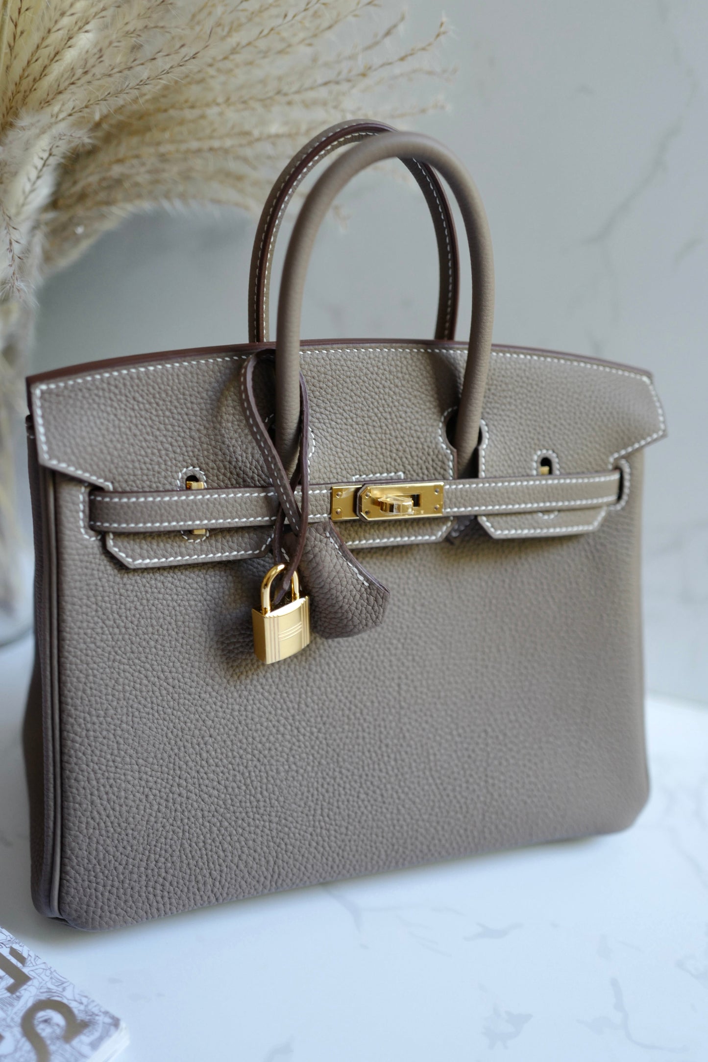 BNIB Hermes Birkin 25 Etoupe Togo Gold Hardware B 2023 With Receipt