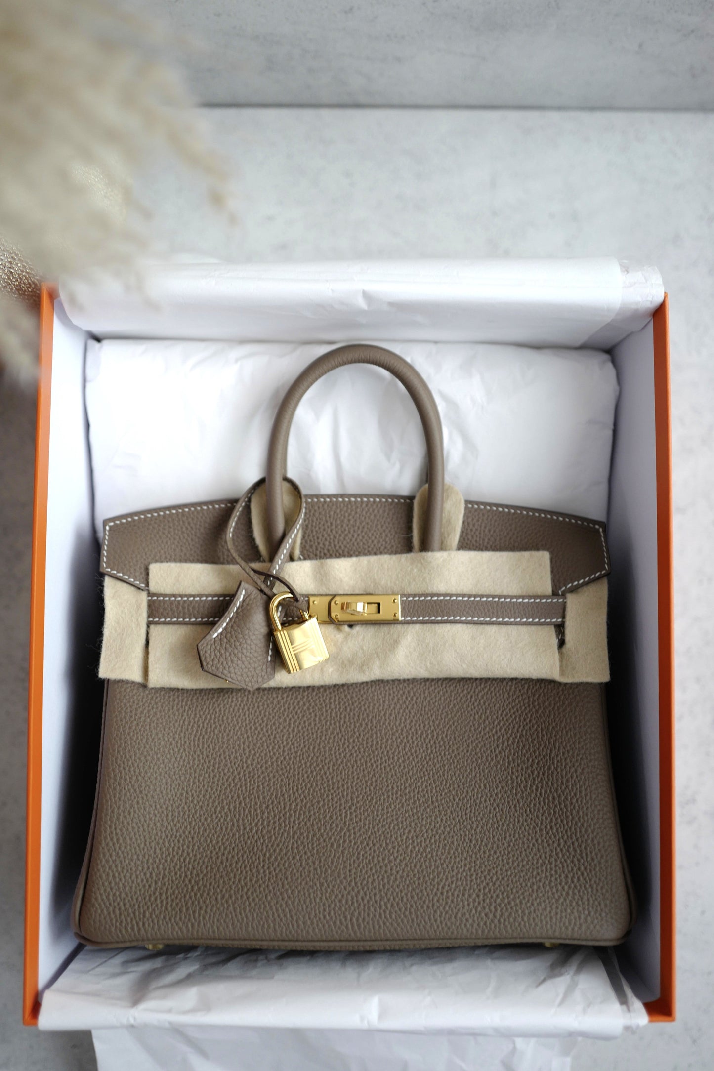 BNIB Hermes Birkin 25 Etoupe Togo Gold Hardware B Stamp 2023