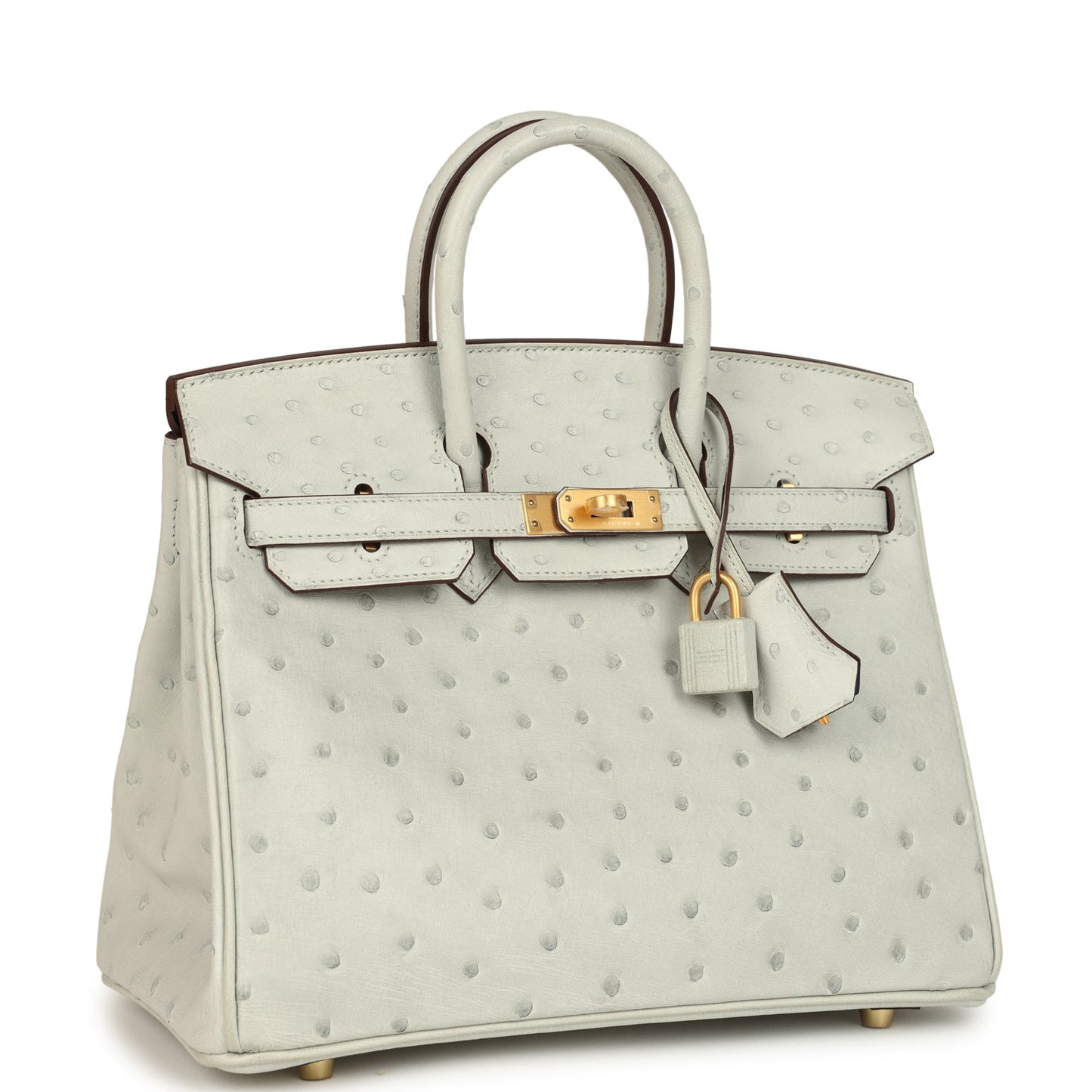 Hermes Special Order (HSS) Birkin 25 Gris Perle Verso Ostrich Brushed Gold Hardware