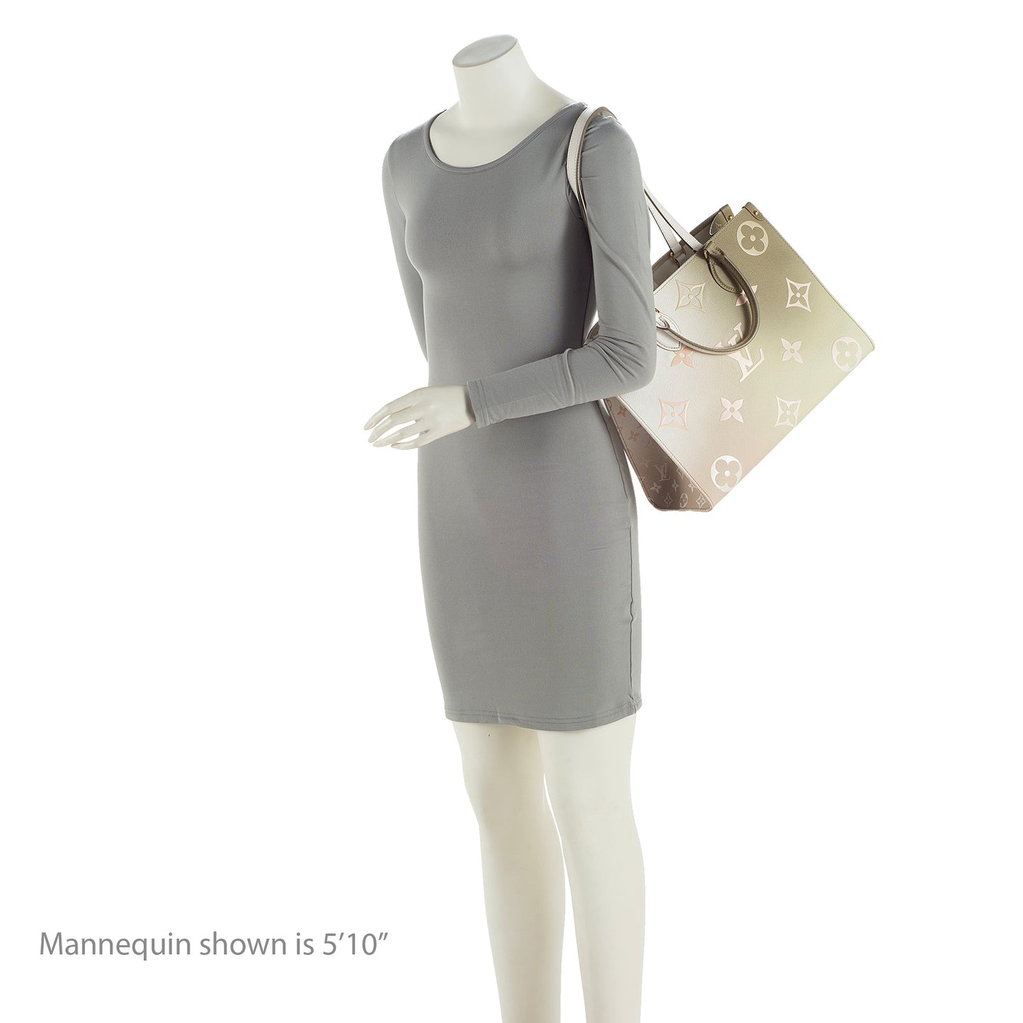 Louis Vuitton Monogram Giant Spring In The City Onthego MM Tote (SHF-22697)