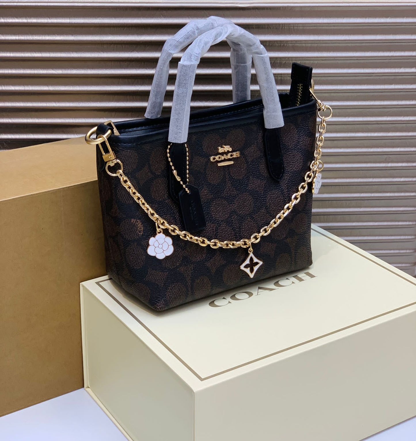 C-O-A-C-H City Mini Women Bag – New Design Official Model (Black Brown)