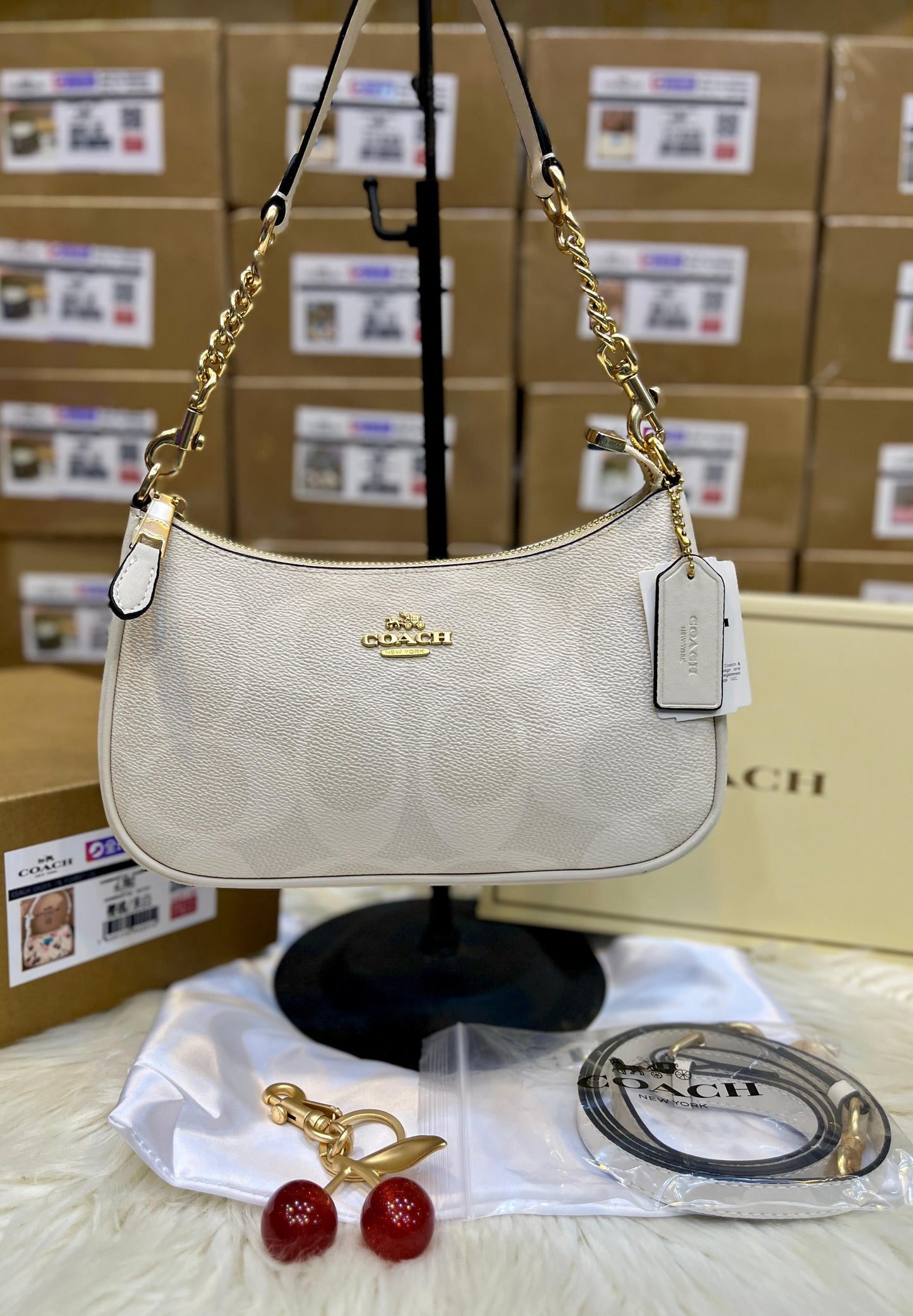 C-O-A-C-H Teri Shoulder Women Bag in Signature Canvas (Off White)
