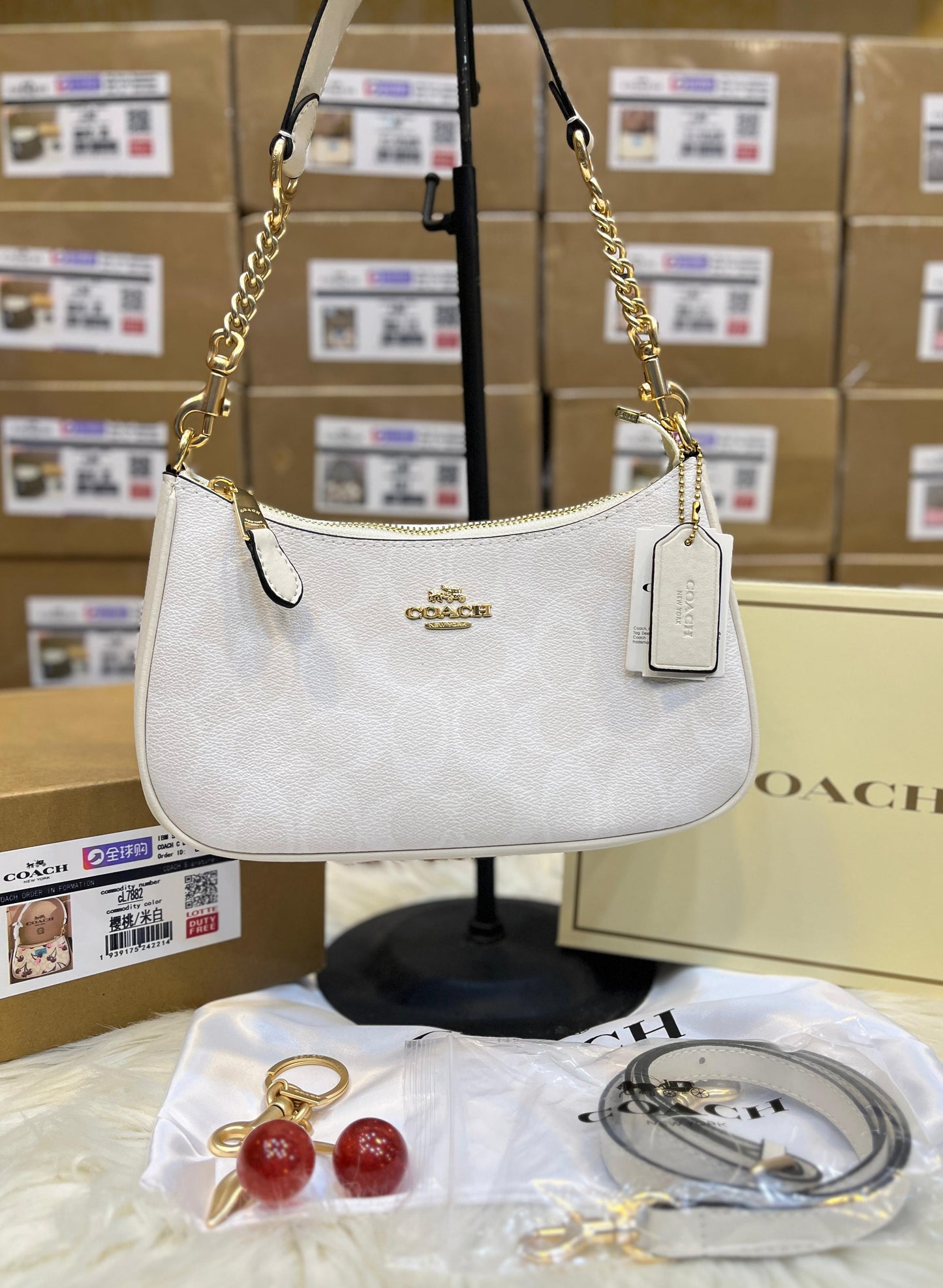 C-O-A-C-H Teri Shoulder Women Bag in Signature Canvas (Off White)